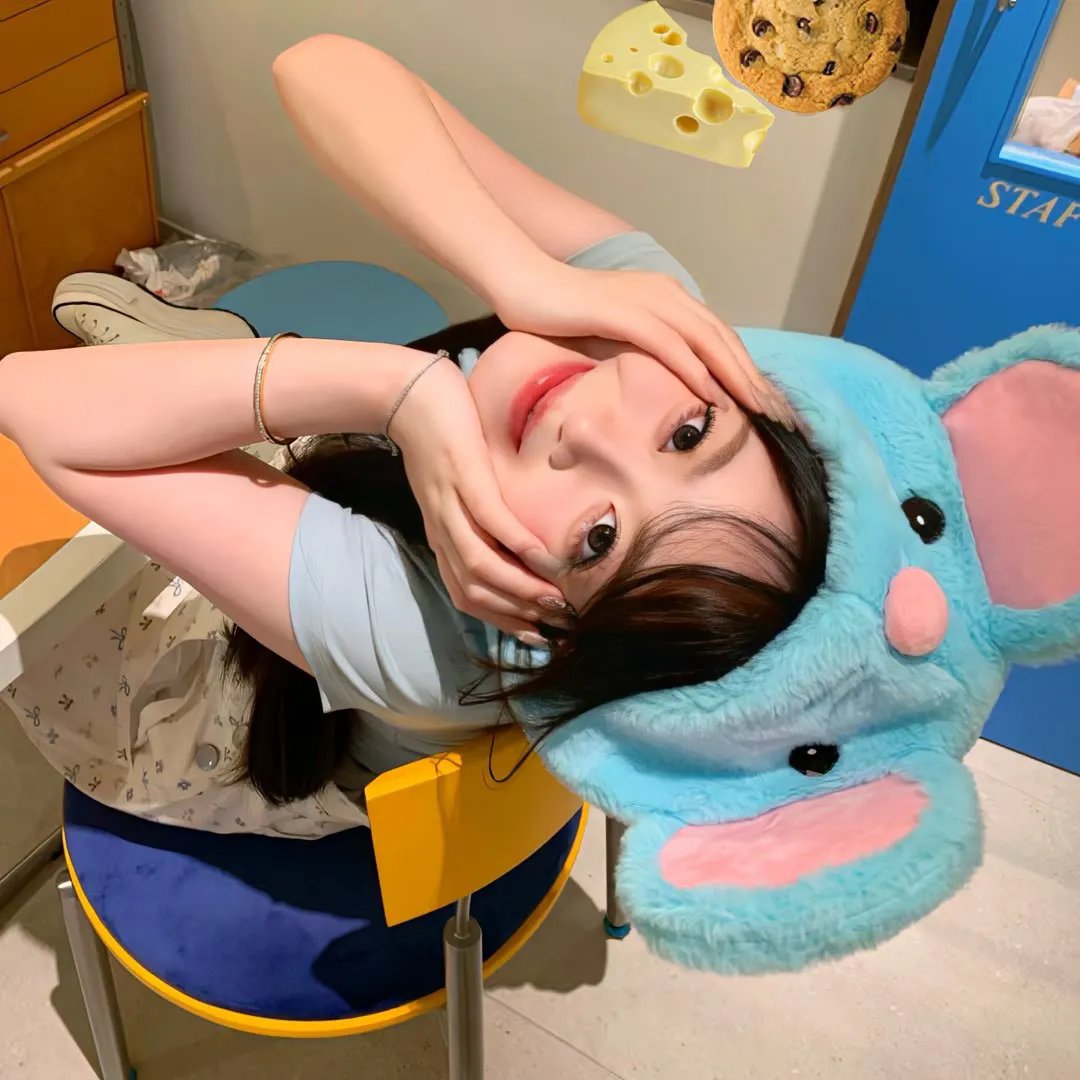 纸钞屋:柏林